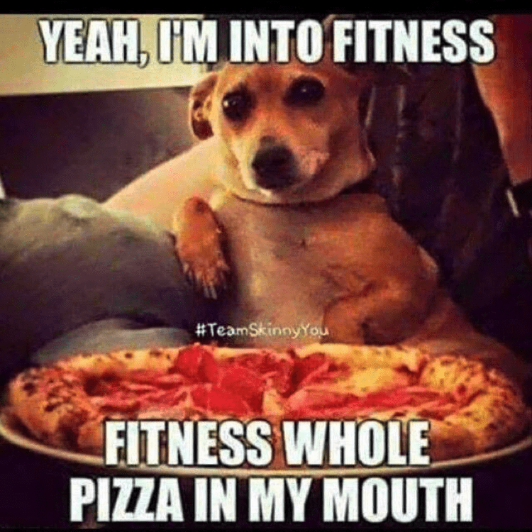 pizza dog food meme