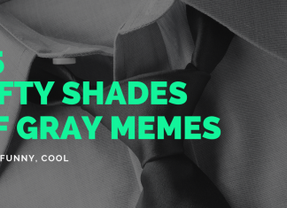 25 Fifty Shades of Gray Memes