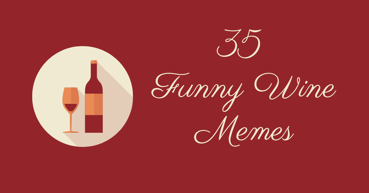 35 Best Funny Wine Memes