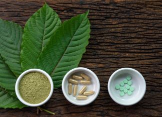 Kratom leaves and extracts
