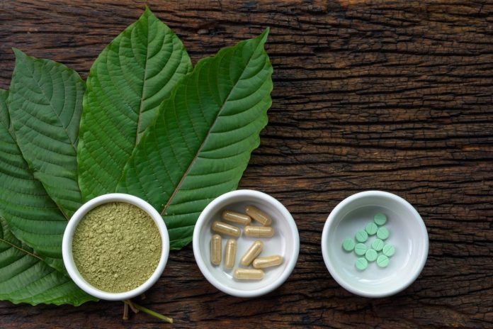 Kratom leaves and extracts